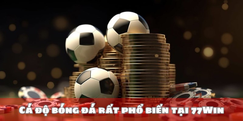 Cá độ bóng đá rất phổ biến tại 77Win